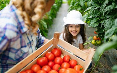 Alimentação orgânica e seus benefícios
